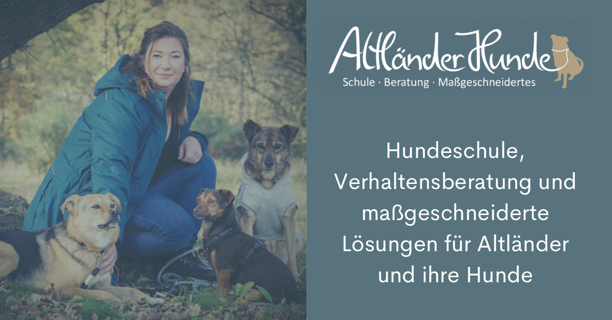 Bild Bild