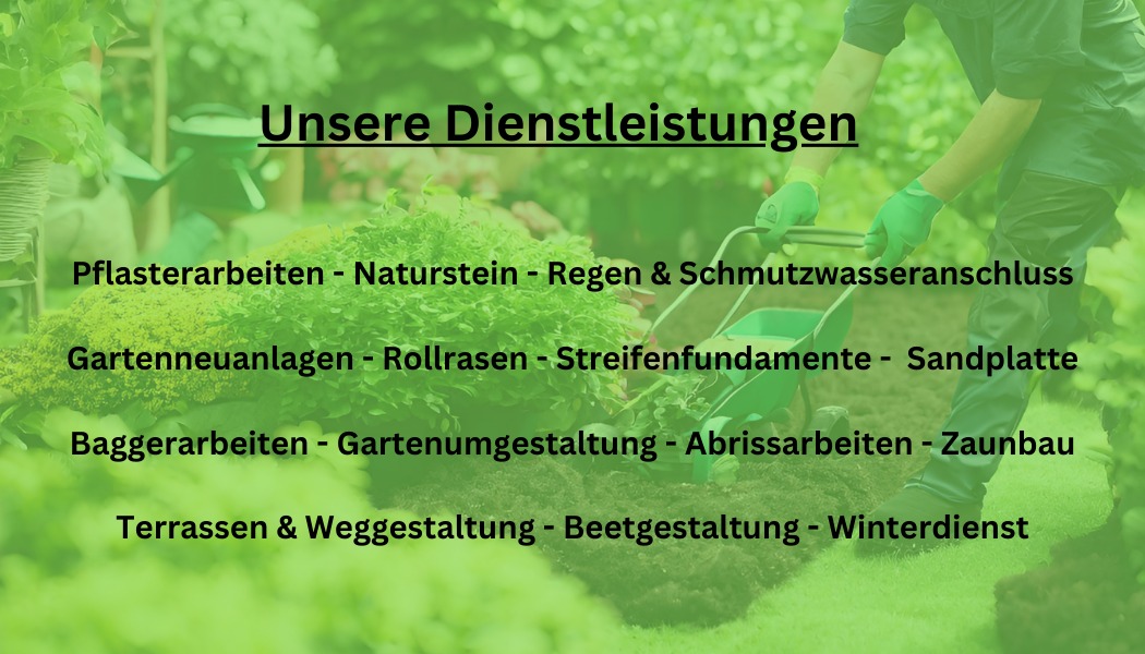 Bild Bild