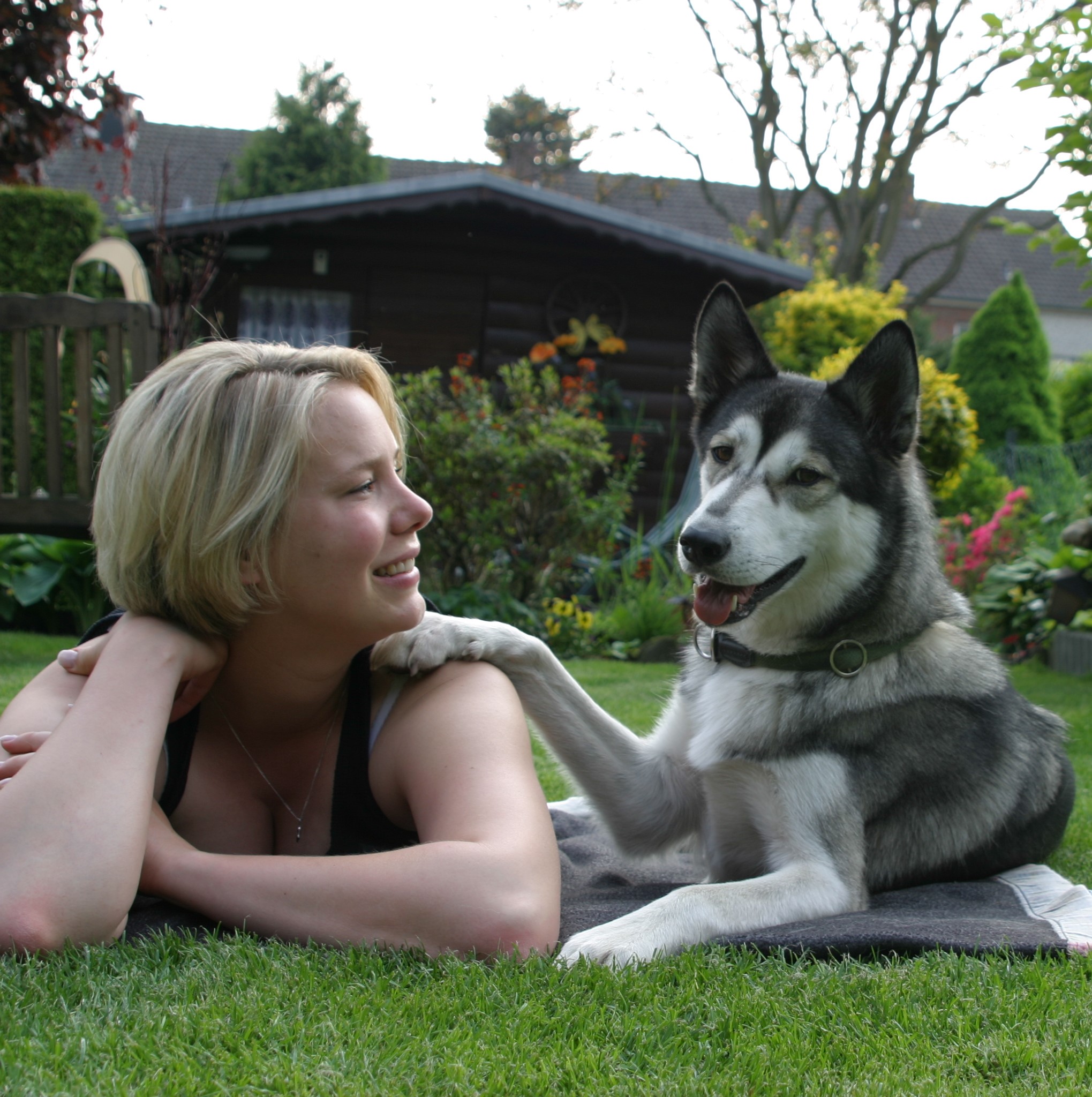 Bild 2 Hundeschule Simone Kühl in Krefeld