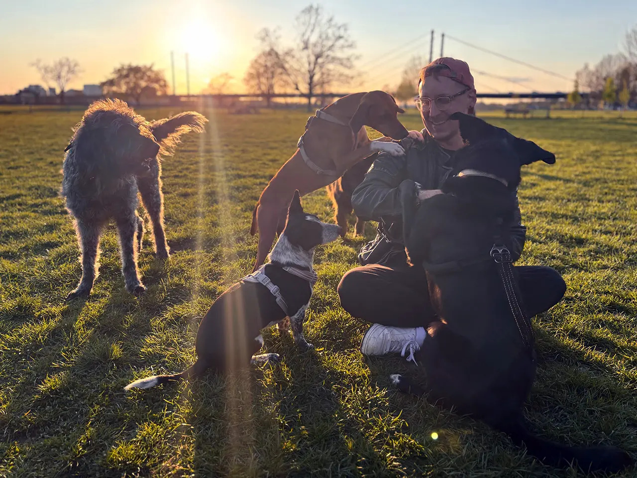 Bild 1 Der Hundemann in Düsseldorf