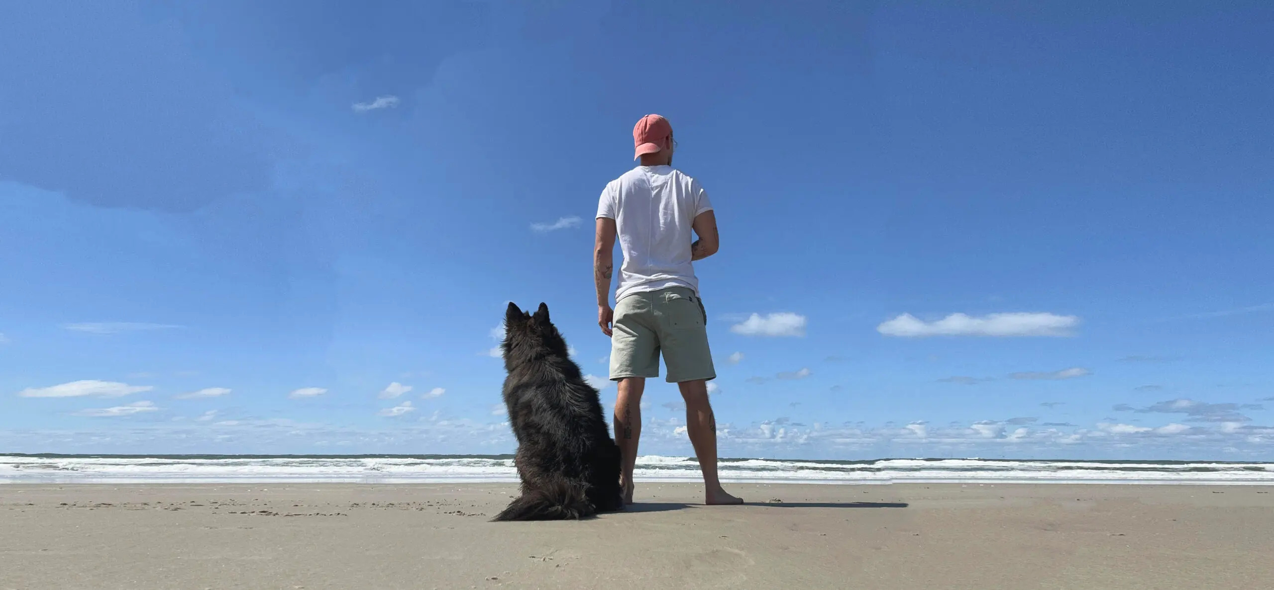 Bild 2 Der Hundemann in Düsseldorf