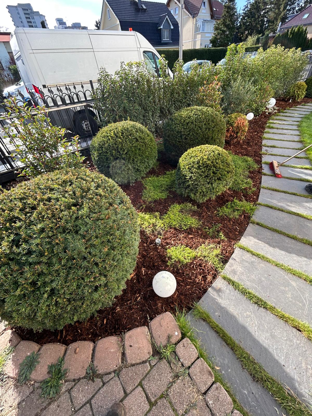 Bild 1 Scheyer Entsorgung / Gartenpflege in Berlin