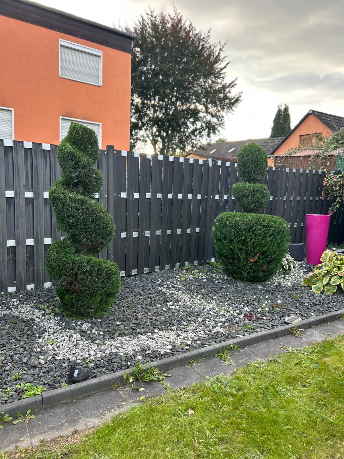 Bild 3 Scheyer Entsorgung / Gartenpflege in Berlin