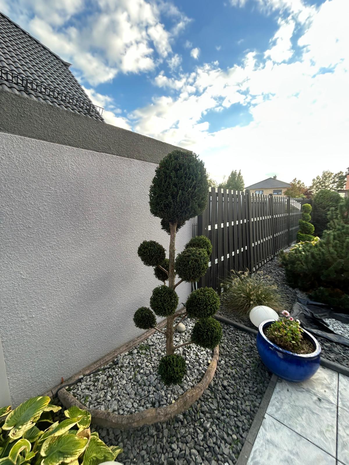 Bild 4 Scheyer Entsorgung / Gartenpflege in Berlin