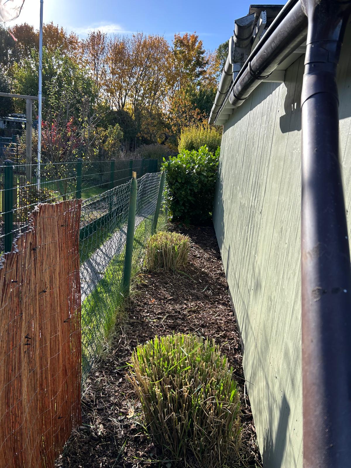 Bild 6 Scheyer Entsorgung / Gartenpflege in Berlin
