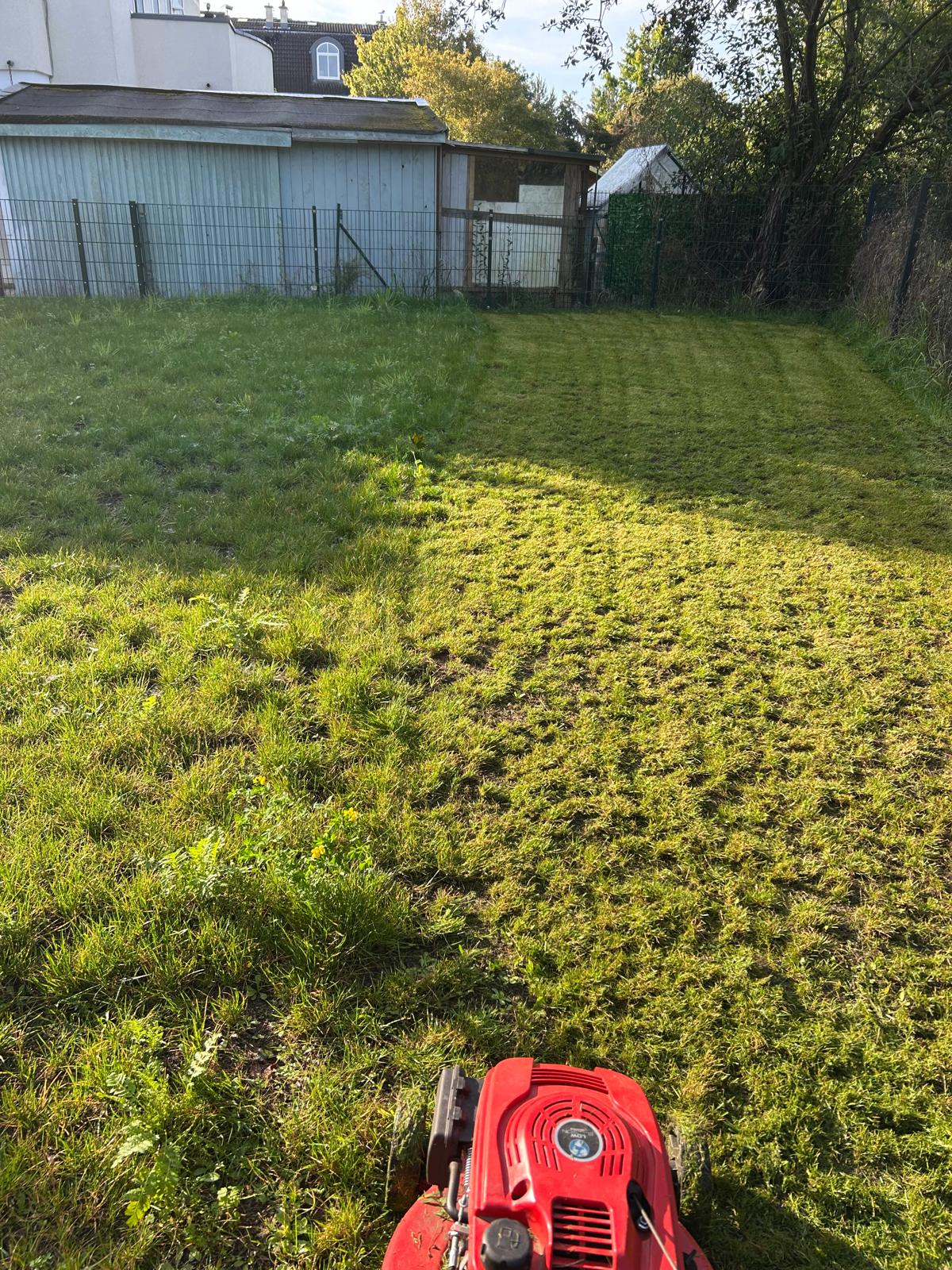Bild 8 Scheyer Entsorgung / Gartenpflege in Berlin