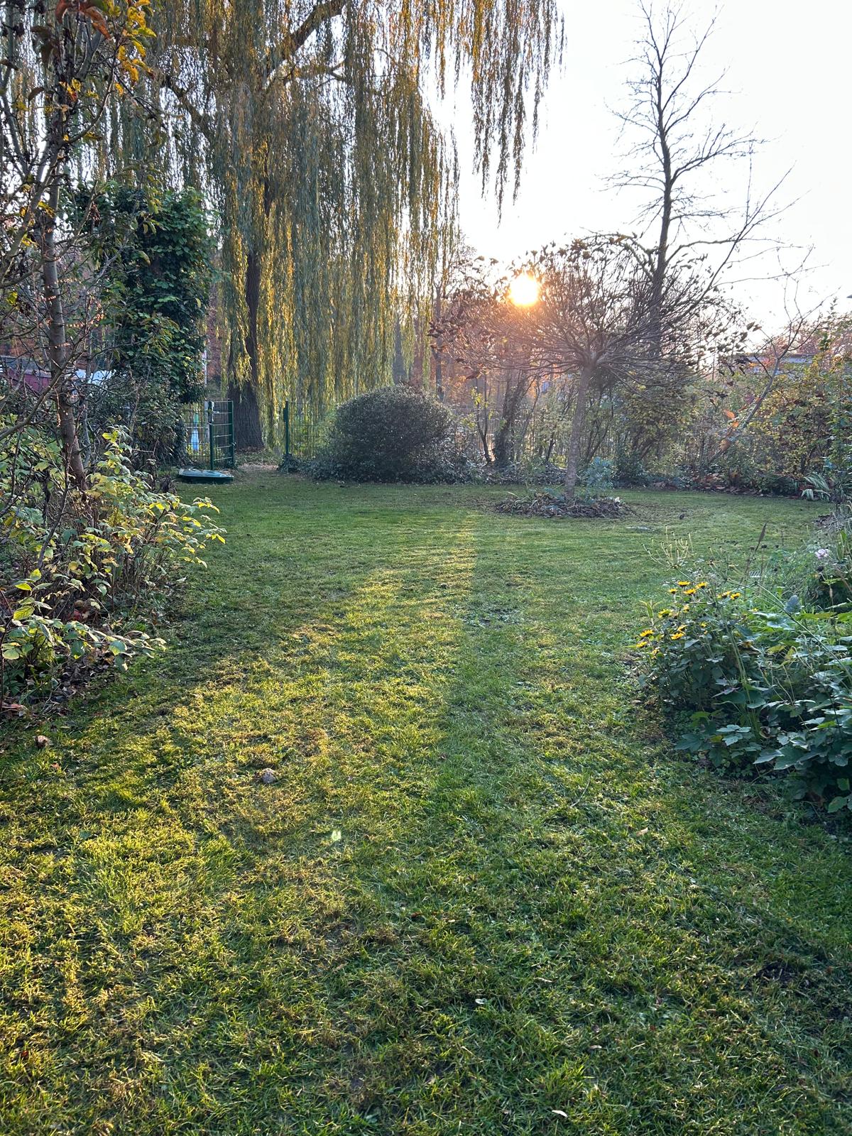 Bild 9 Scheyer Entsorgung / Gartenpflege in Berlin