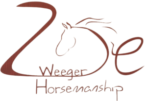 Bild 1 Weeger Horsemanship in Sachsen bei Ansbach