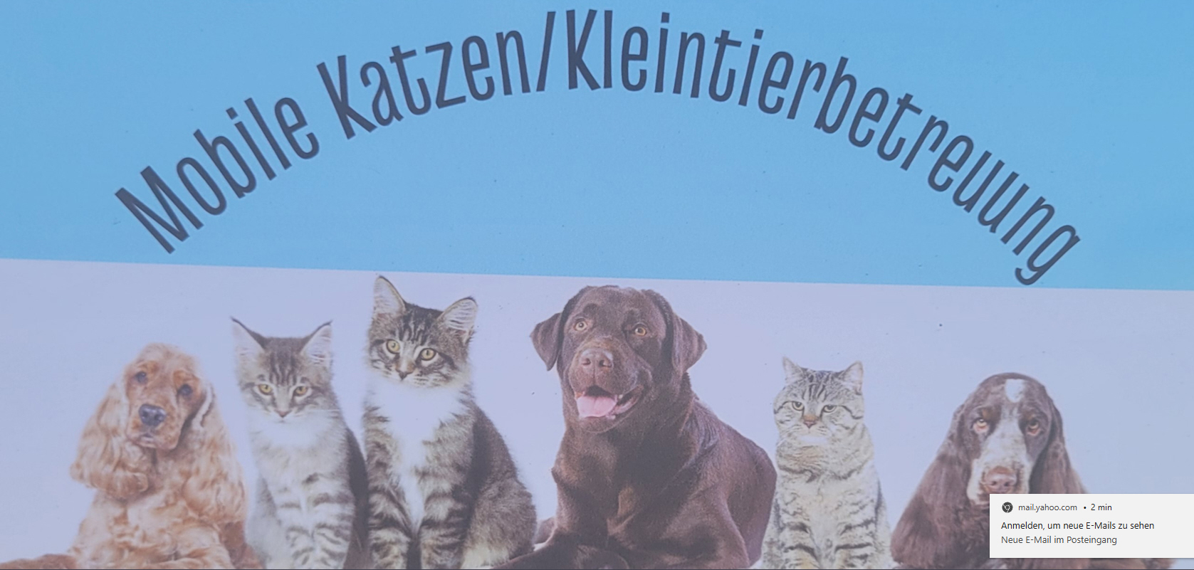 Bild 1 Mobile Katzen/Kleintierbetreuung in Igensdorf
