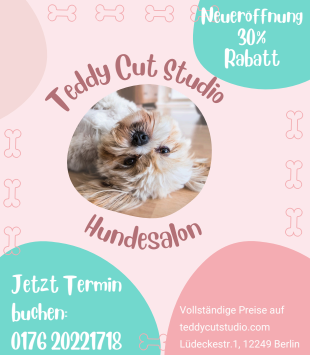 Bild 1 Teddy Cut Studio in Berlin