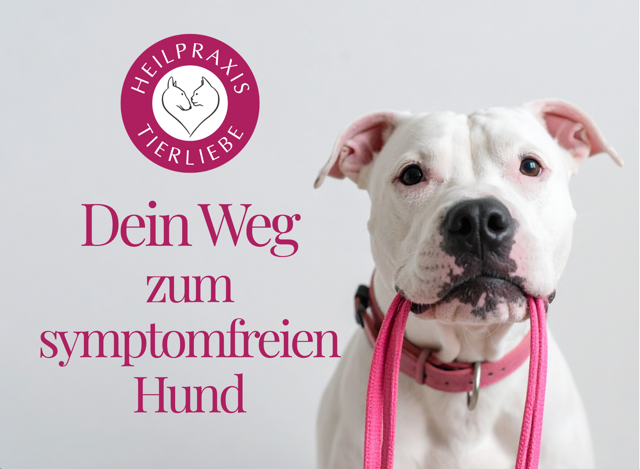 Bild 1 Heilpraxis Tierliebe in Mönchengladbach