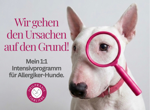 Bild 2 Heilpraxis Tierliebe in Mönchengladbach