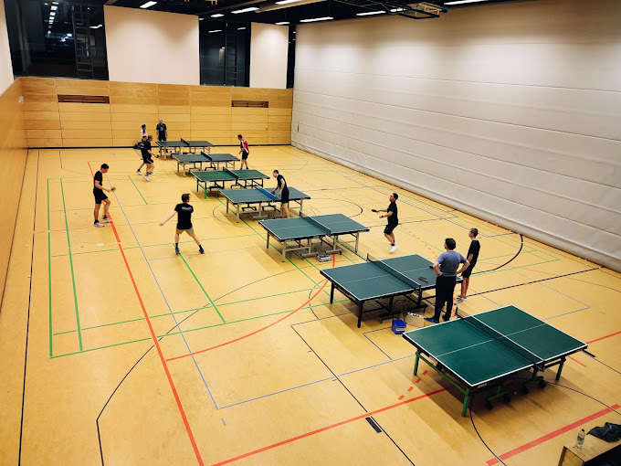 Bild 1 Tischtennisfreunde Elbhang Dresden e.V. in Dresden