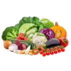 Bild 3 Bio-Lebensmittel Onlineshop - Natur.com in Schierling
