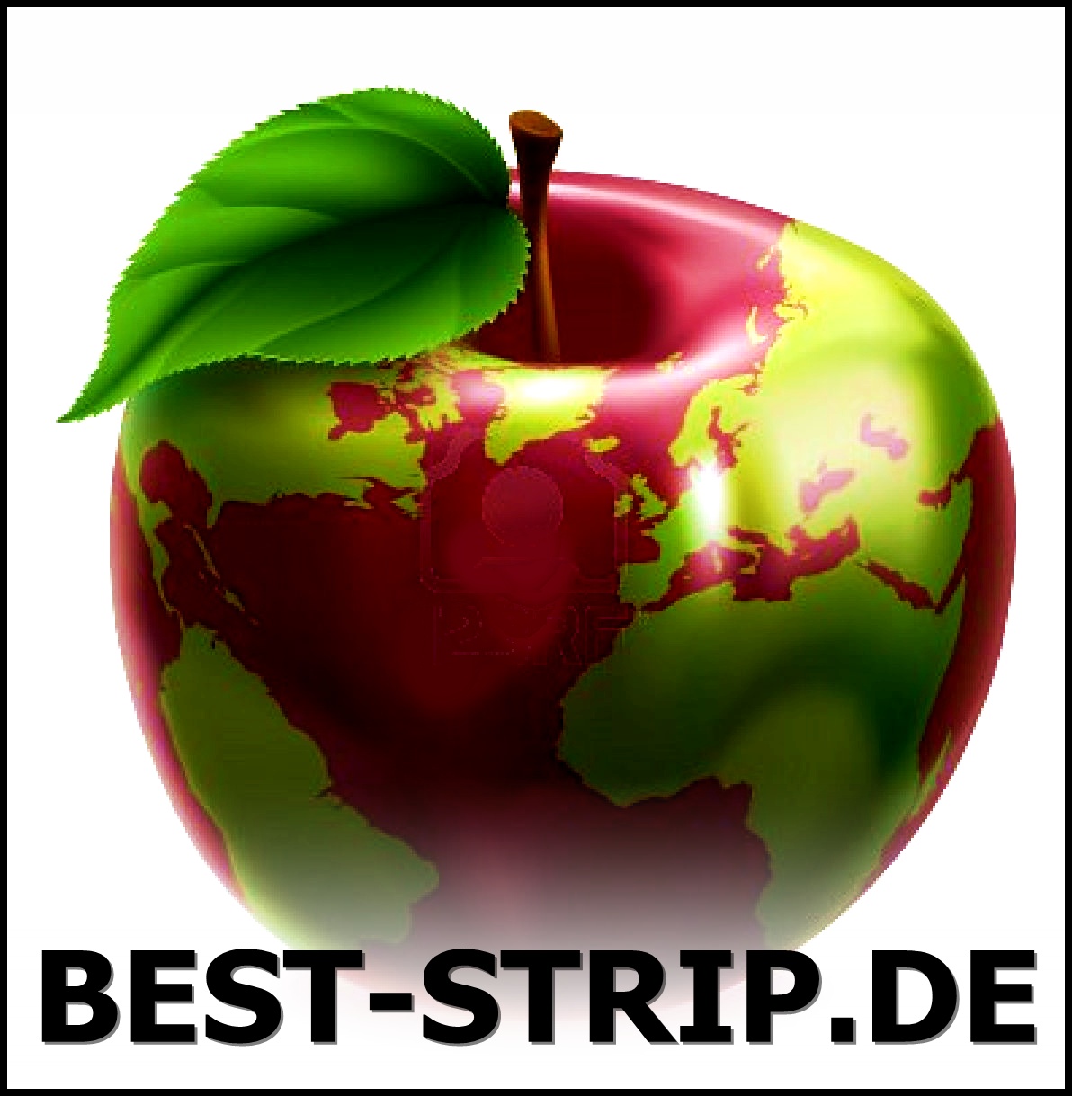 Bild 3 Hollywood Show & PR Agentur in Düsseldorf Hilden